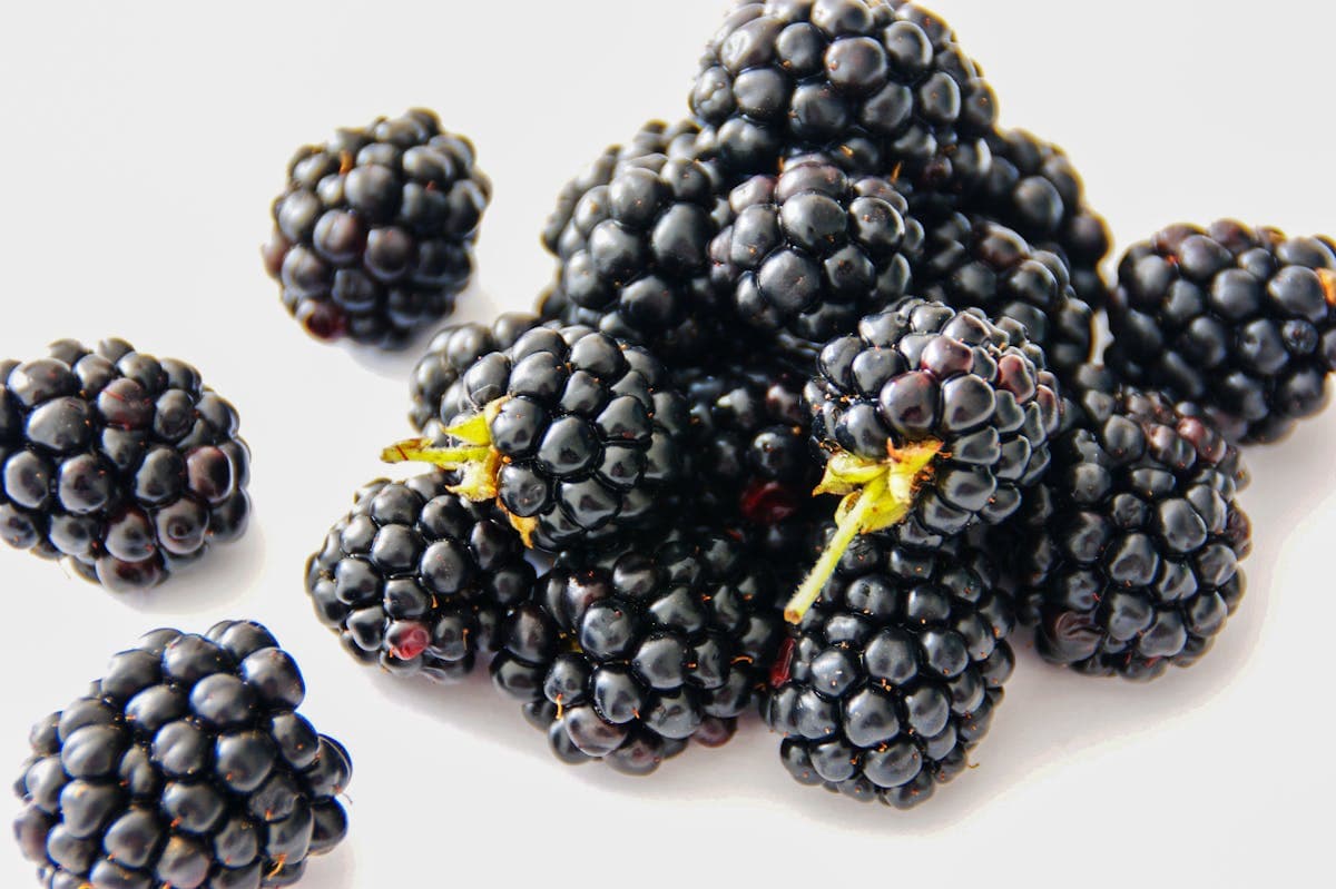 Berry & Mushroom Picking