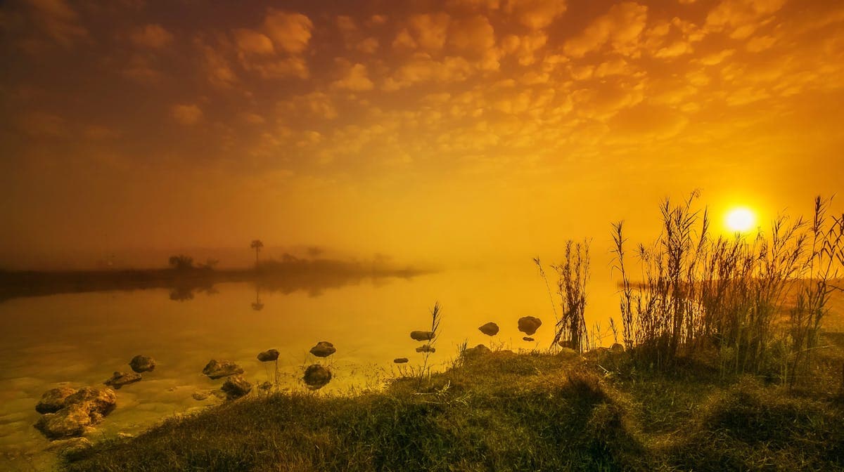 Midnight Sun