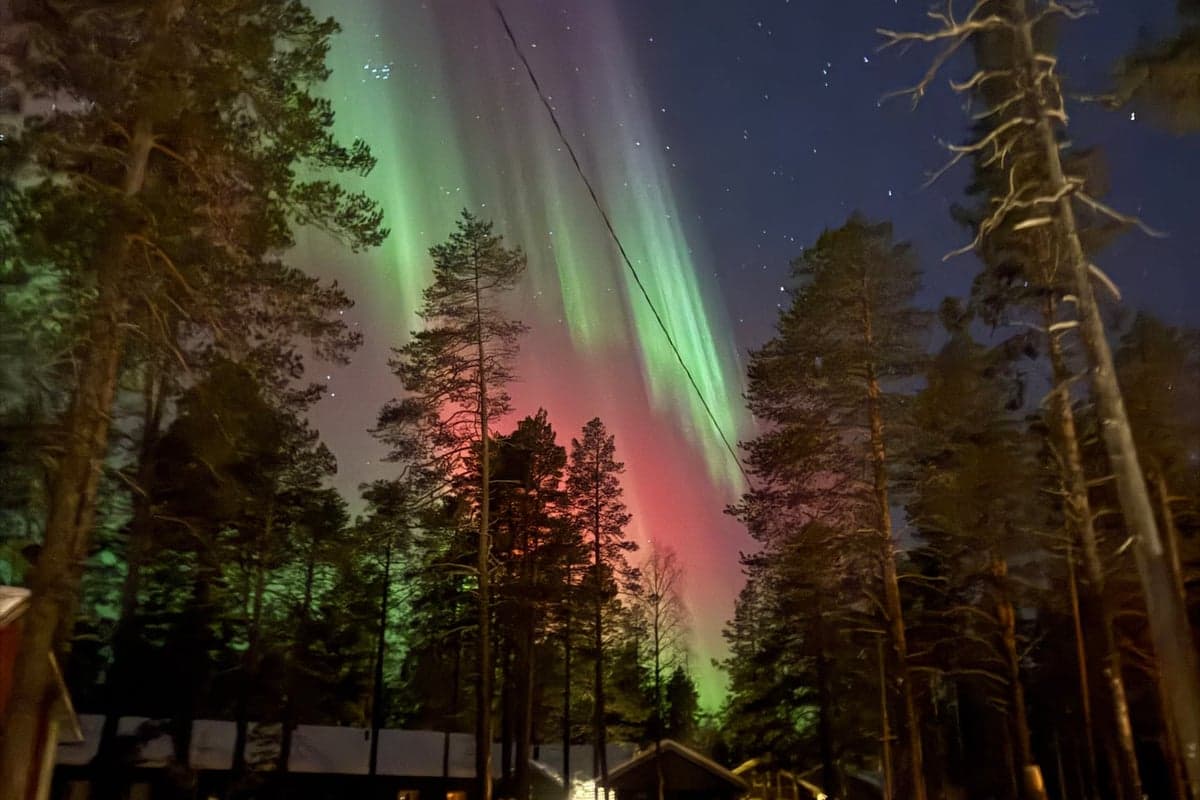 Skycabin - Photo 3
