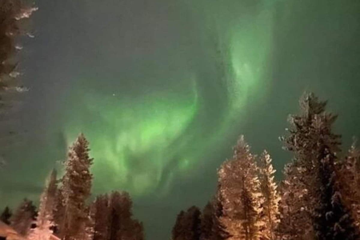 Skycabin - Photo 34