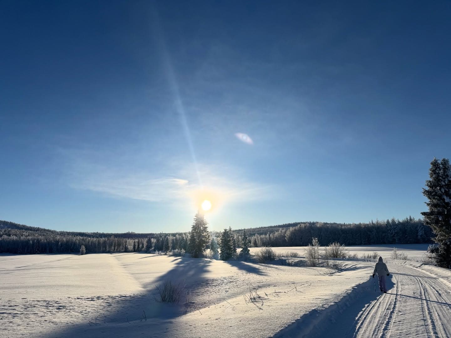 Cross-country skiing through snowy Lapland landscape at sunset near Ylläs